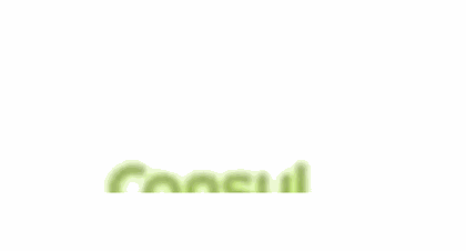 Logo Consul